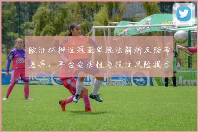 欧洲杯押注冠亚军玩法解析及赔率差异、平台合法性与投注风险提示