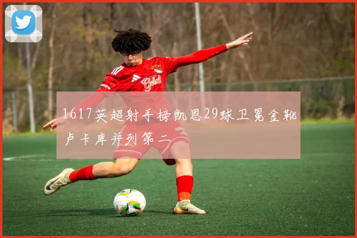 1617英超射手榜凯恩29球卫冕金靴卢卡库并列第二