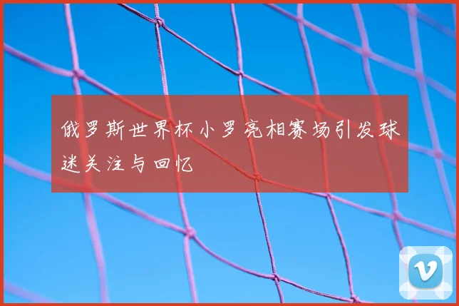 俄罗斯世界杯小罗亮相赛场引发球迷关注与回忆