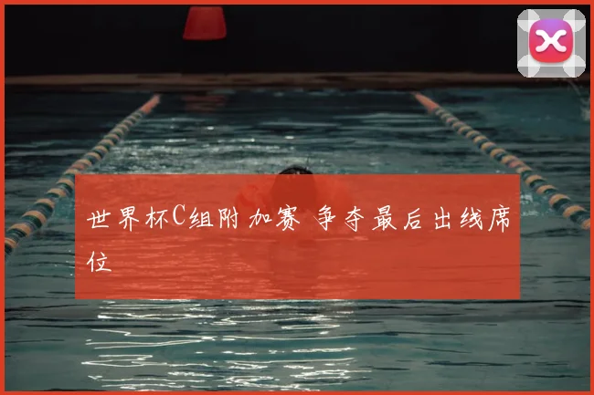 世界杯C组附加赛 争夺最后出线席位